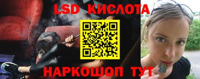 гашик Кинель