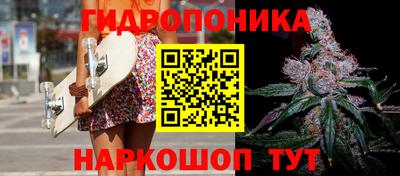 гашик Кинель