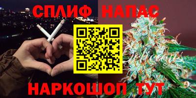 гашик Кинель