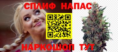 гашик Кинель
