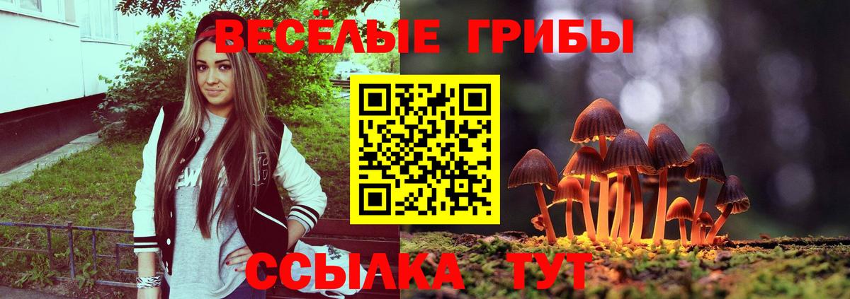 Псилоцибиновые грибы Magic Shrooms Коркино